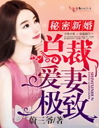 新婚旧爱 总裁的秘密新娘