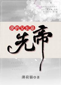 我的兄长是先帝的