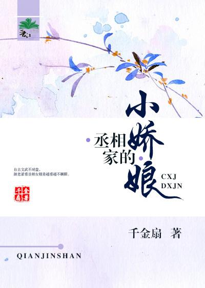 丞相家的小娘子txt