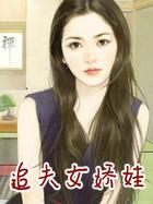 追夫甜文