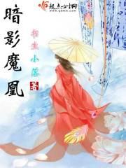 暗影魔城