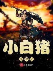 小白猪什么意思
