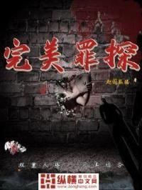 完美罪行百科