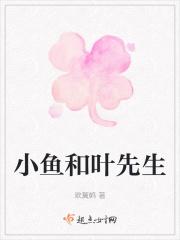 小叶先生是谁