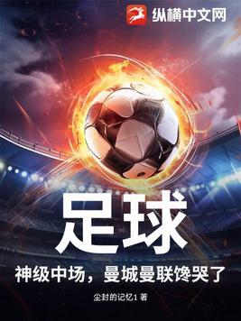 曼城中场有哪些