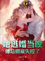 她闪婚傅家半年破了宁家十代单传是什么