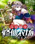 我的随身升级打怪系统百度百科