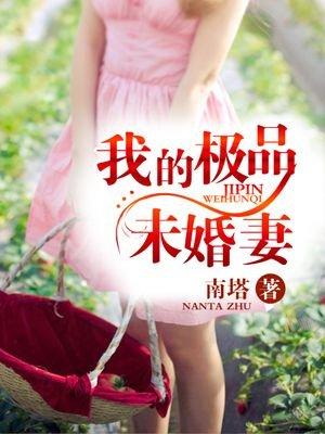 我的极品老婆讲的是什么