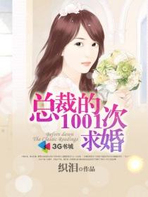 总裁第1001次求婚慕浅