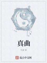 真曲硬币