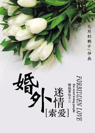 索爱婚外迷情讲了什么